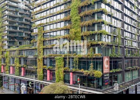 Jardinière de grande hauteur à One Central Park, le Jean nouvel a conçu un immeuble d'appartements à Sydney, recouvert de plantes indigènes australiennes. Banque D'Images