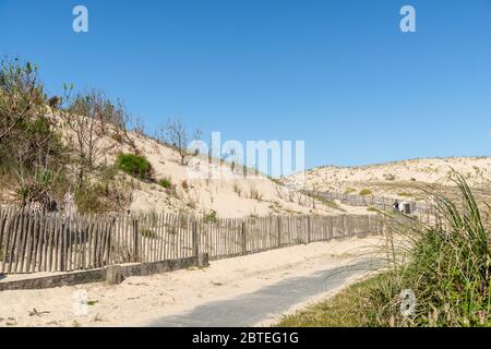 Dunes de sable à Carcans, près de Lacanau en France Banque D'Images