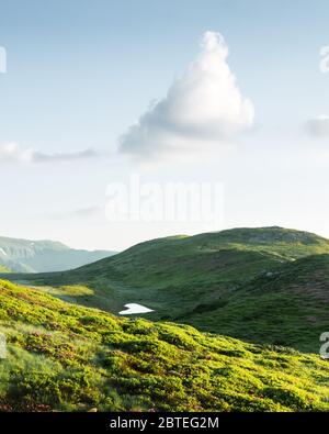 Petit lac de montagne en forme de cœur sur des pentes vertes couvertes de fleurs roses de rhododendron. Nuage moelleux dans le ciel bleu. Paysage de montagnes d'été Banque D'Images