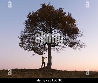 Silhouette d'en vertu de l'arbre majestueux au soir prés des montagnes au coucher du soleil. Scène colorée dramatique avec orange ciel clair. Photographie de paysage Banque D'Images