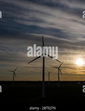 Werneuchen, Allemagne. 21 mai 2020. Éoliennes dans la soirée à Werneuchen. Credit: Paul Zinken/dpa-Zentralbild/ZB/dpa/Alay Live News Banque D'Images