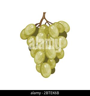 Bande de raisin vert mûr de dessin animé Illustration de Vecteur