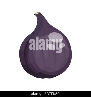 Dessin animé mûr fruit de figuier, illustration vectorielle Illustration de Vecteur