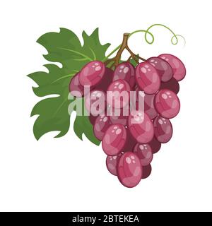 Bande dessinée mûre de raisin rouge Illustration de Vecteur