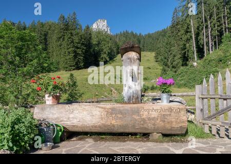 Brunnen an der Brander Alm am Fuß der Hörndlwand in Ruhpolding im Chiemgau, Oberbayern Banque D'Images