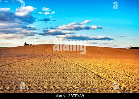 Paysage agricole, champ de culture arable après plantation mécanisée. Agriculture labourée linéaire sur les collines. Minsk, Bélarus Banque D'Images