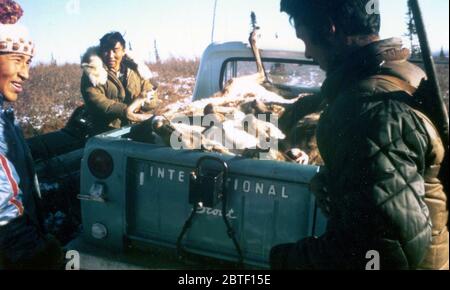 10/7/1972 - Chasseur de caribou, Ambler Alaska area, with dead Caribou Banque D'Images