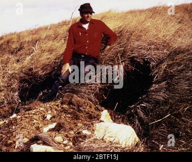 Ca. 1973 - SNM biologiste à la bouche de bear den, Alaska Banque D'Images