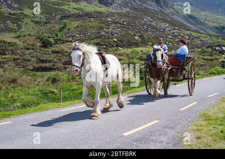 Gap of Dunloe, Irlande - 29 mai 2016 : les touristes apprécient un cheval et une promenade en voiture à travers le paysage pittoresque de Gap of Dunloe dans le comté de Kerry, Banque D'Images