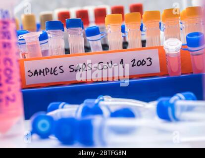 Flacons contenant des échantillons de SRAS-COV-1 dans un laboratoire de recherche, image conceptuelle Banque D'Images