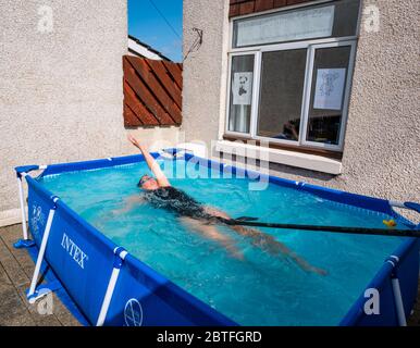 Femme nageant dans une pataugeoire à Covid-19, confinement pandémique, levant des fonds pour le zoo d'Édimbourg, North Berwick, East Lothian, Écosse, Royaume-Uni Banque D'Images