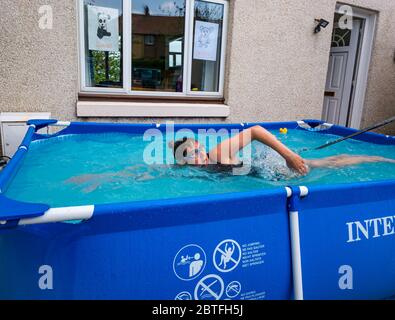 Femme nageant dans une pataugeoire à Covid-19, confinement pandémique, levant des fonds pour le zoo d'Édimbourg, North Berwick, East Lothian, Écosse, Royaume-Uni Banque D'Images