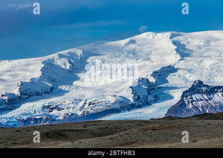 Le renne, Rangifer tarandus, introduit en Islande de la Norvège de 1771 à 1787, et prospère maintenant le long de la côte sud-est de l'Islande, avec Öræfajök Banque D'Images