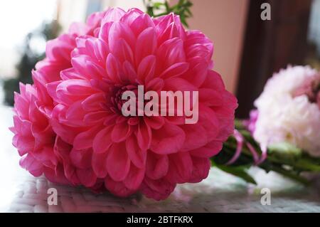 Un bouquet de dahlias aux pétales roses délicats se trouve sur la table, un jour d'été Banque D'Images