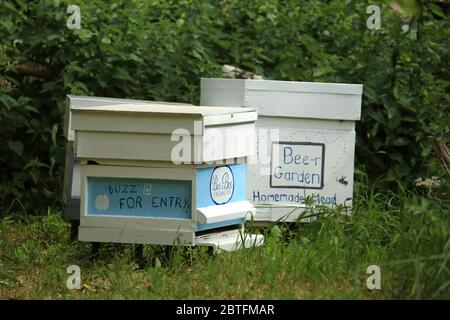 Ruches décorées au Royaume-Uni. Banque D'Images