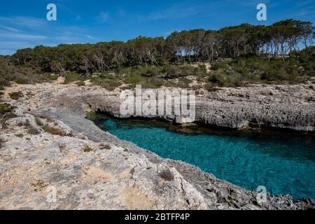 Caló d'en Perdiu, Parc naturel de Mondragó, zone municipale de Santanyí, Majorque, Iles Baléares, Espagne. Banque D'Images