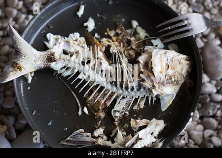 OS nagé avec tête et queue de poisson frit fraîchement pêché (dorado) dans une poêle en métal sur la plage de galets. Cuisine extérieure. Pêche et vacances en mer. Voir fr Banque D'Images