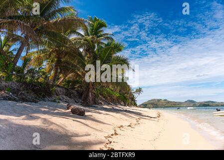 Plage de sable blanc avec palmiers. Sur une île exotique des fijis. Grand angle Banque D'Images
