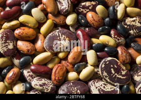 Assortiment de haricots biologiques secs crus prêts à cuire Banque D'Images