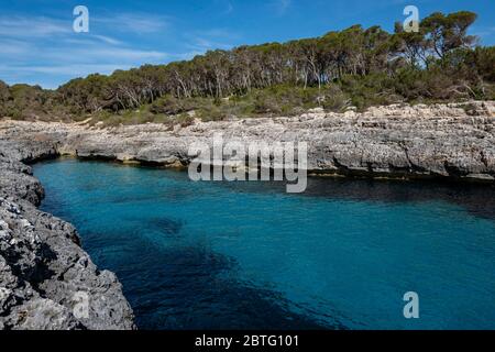 Caló d'en Perdiu, Parc naturel de Mondragó, zone municipale de Santanyí, Majorque, Iles Baléares, Espagne. Banque D'Images