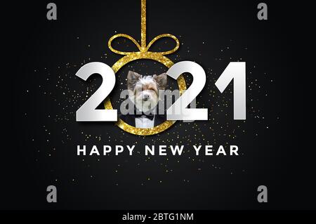 Bonne année 2021 avec un chien, biewer yorkshire Banque D'Images