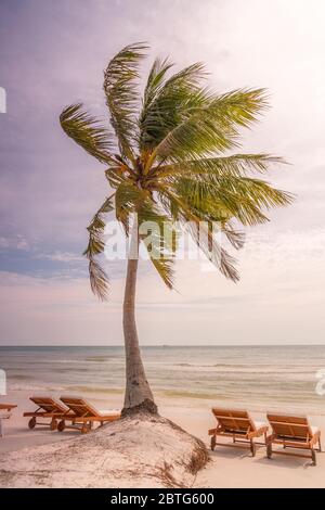 Belle plage avec un palmier, des lits de plage, une soirée légèrement nuageux et venteuse à Phu Quoc Island, Vietnam Banque D'Images