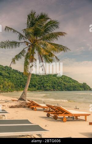 Belle plage avec un palmier, des lits de plage, une soirée légèrement nuageux et venteuse à Phu Quoc Island, Vietnam Banque D'Images