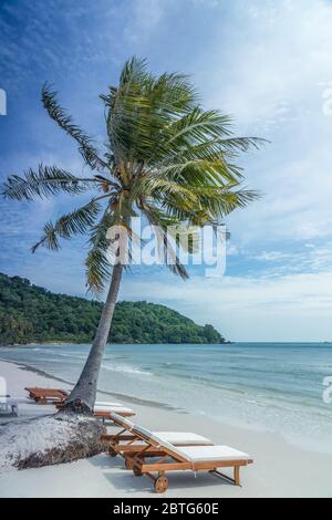 Belle plage avec un palmier, des lits de plage, une soirée légèrement nuageux et venteuse à Phu Quoc Island, Vietnam Banque D'Images