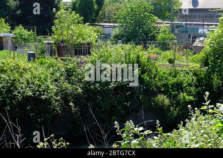 Garratt Park Allotages River Wandle Trail Banque D'Images