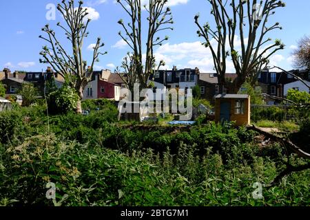 Garratt Park Allotages River Wandle Trail Banque D'Images