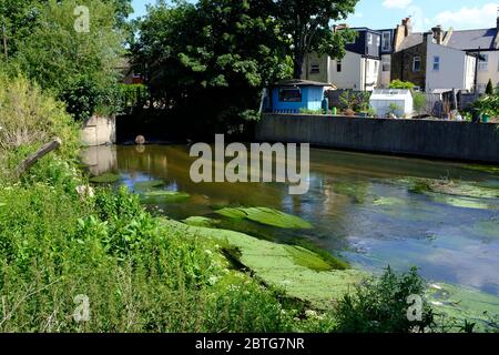 Garratt Park Allotages River Wandle Trail Banque D'Images