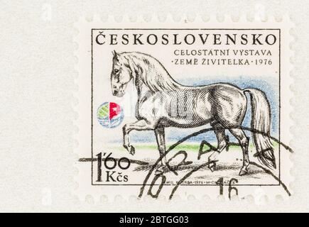 SEATTLE WASHINGTON - 23 mai 2020 : le stalion de Kladruby sur timbre, la plus ancienne race de chevaux de Tchécoslovaquie. Scott # 2079 Banque D'Images
