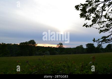 Fin mai dans le nord-ouest du Kent, Angleterre. Champs au village de Charles Darwin, Downe, au crépuscule. Coucher de soleil, nuage fin, paisible, paisible scène de campagne Banque D'Images