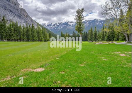 Printemps au parcours de golf Banff Springs, dans le parc national Banff, Canada Banque D'Images