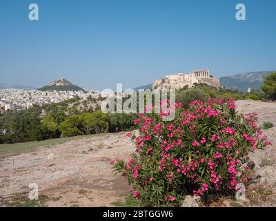 Vue sur le temple Parthénon et la colline de l'Acropole depuis Pnyx à Athènes, Grèce Banque D'Images