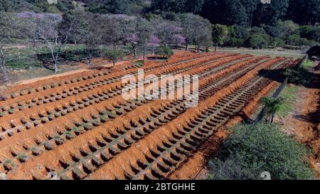 Sao Paulo, Brésil. 25 mai 2020. Des centaines de tombes fraîchement creusées attendent des corps dans le cimetière de Vila Formosa, le plus grand d'Amérique latine. Le cimetière a fait environ 70 000 inhumations par jour, en raison de la pandémie du coronavirus. Plus de 300 mille personnes au Brésil ont été infectées par le COVID-19 et plus de 16 mille sont mortes. (Image de crédit: © Paulo LopesZUMA Wire) Banque D'Images