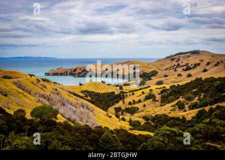 Kirita Bay et une vallée jaune herbacée, vue depuis la route Manaia Saddle and Lookout sur la péninsule de Coromandel en Nouvelle-Zélande Banque D'Images