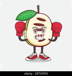 Illustration du personnage de mascotte de pawpaw fruit dans un style de boxe sportif Illustration de Vecteur