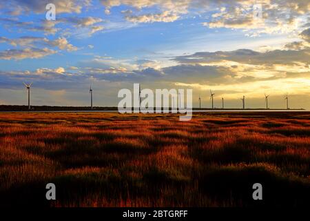 Marais de Gaomei au coucher du soleil avec arrière-plan de l'éolienne à Taiwan Taichung, Banque D'Images