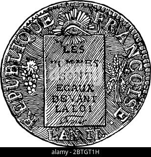 c'est une image d'une pièce, il montre l'observation de la pièce, sur laquelle est illustrée une proclamation, un bouquet de raisins, et une feuille de blé, vinta Illustration de Vecteur