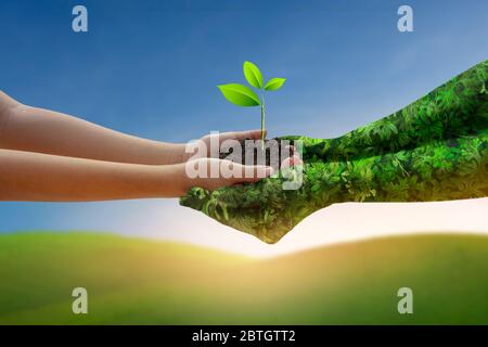 Environnement jour de la Terre mains de la nature. Les mains de fille tenant des arbres poussant sur fond vert de montagne et bleu ciel. Écologie et nature. Banque D'Images