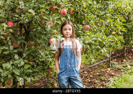 Portrait de petites filles mignonnes dans un verger de pomme. Banque D'Images