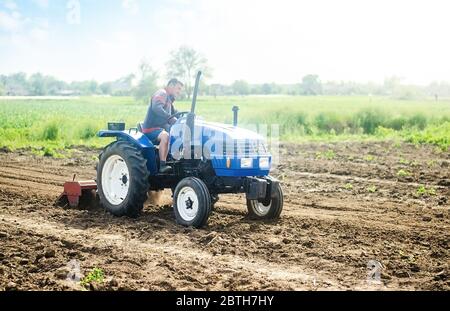 Un agriculteur sur un tracteur travaille sur le terrain. Culture de cultures dans une petite entreprise familiale agricole. Assistance aux petites entreprises. Agriculture et agriculture. Cu Banque D'Images