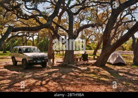 Camping sous des chênes au parc national de Goose Island, Gulf Coast, Texas, États-Unis Banque D'Images