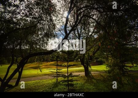 Camp John Hay, Baguio City Banque D'Images