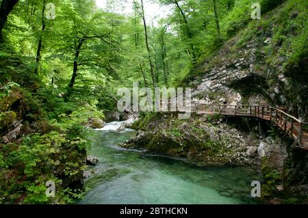 Paysage autour de la Moselle, une chaîne de montagnes en Alsace, France Banque D'Images