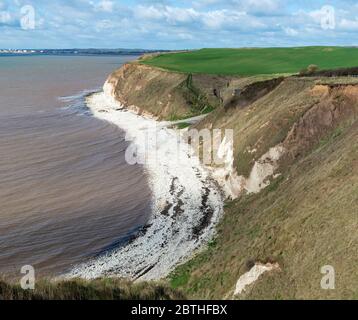 Falaises de craie blanche autour de South Landing et South Cliff à Flamborough Head, East Yorkshire Banque D'Images