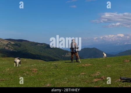 Cindrel Mountains, Roumanie - Mai 2020 : berger authentique de Roumanie dans les Carpates Mountains Banque D'Images