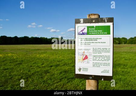 Un panneau de zone de protection skylark à Wimbledon Common, Londres, Royaume-Uni Banque D'Images