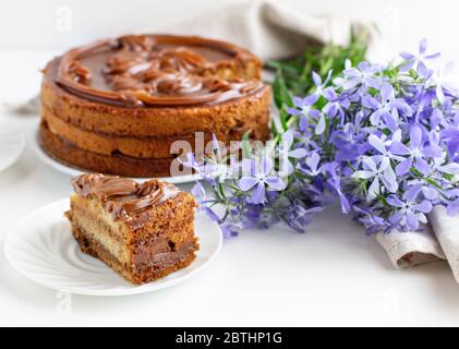 Gâteau au miel maison décoré de caramel sur un fond clair. Concept de cuisson à domicile. Gros plan. Banque D'Images
